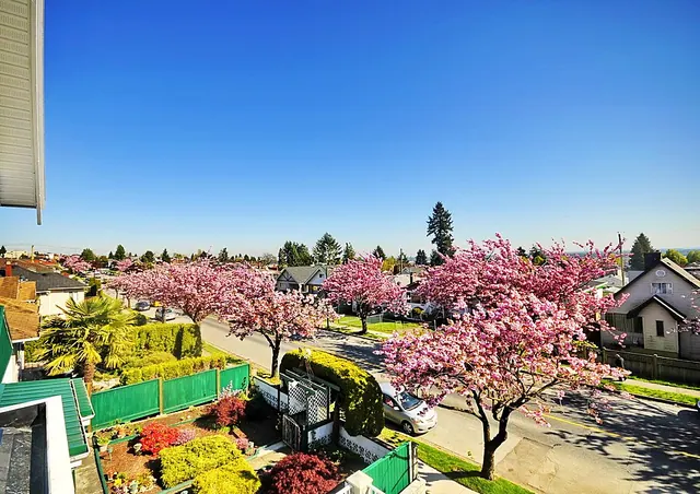 View from the upper floor