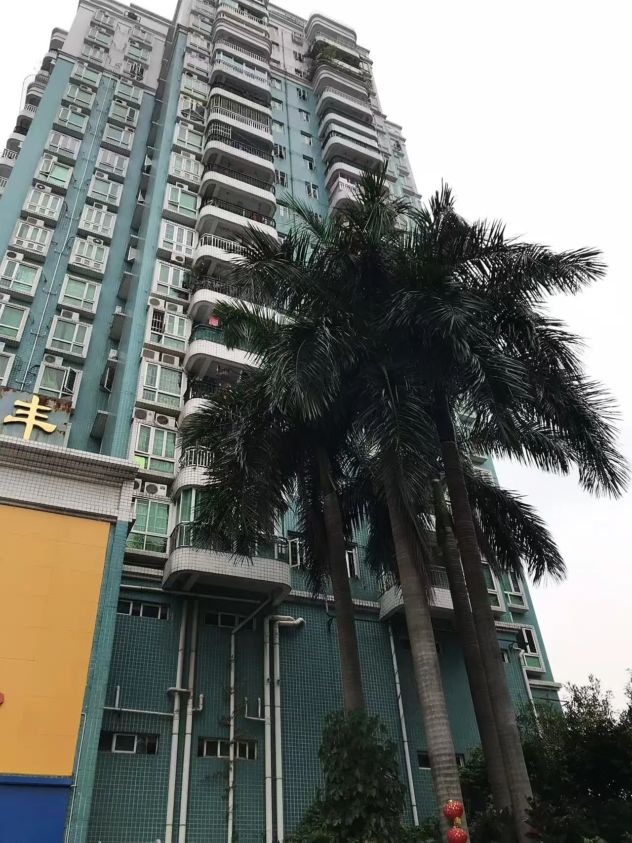 Yingfeng Building with palms at the entrance